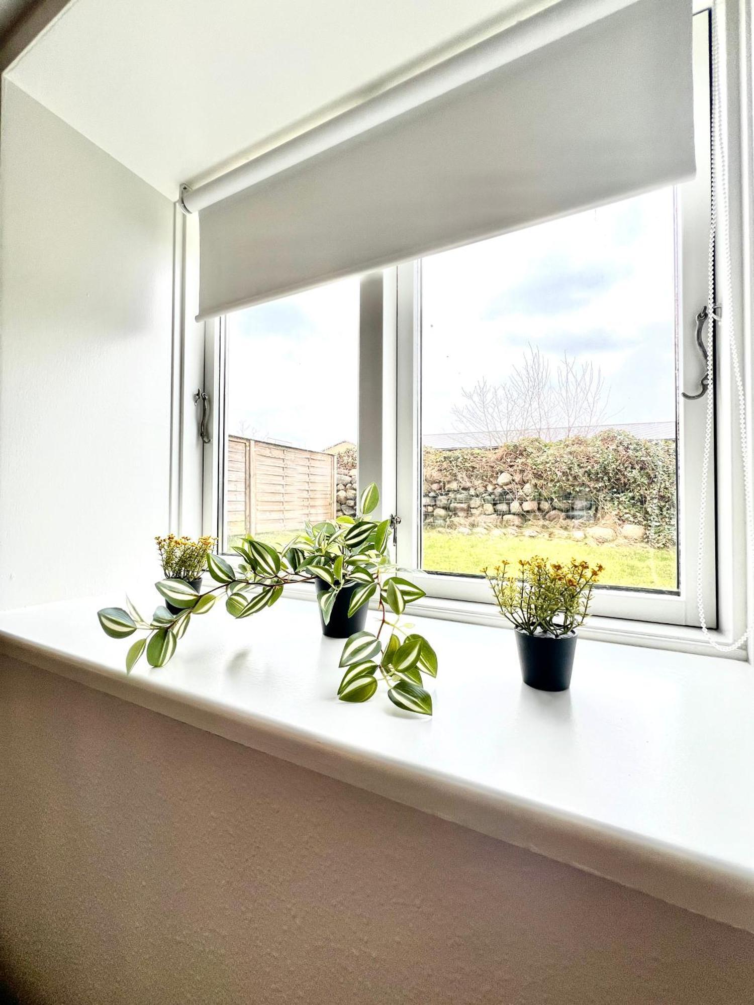 5 Minute Walk To Lego House - 50M2 Cozy Apartment- D Unit Billund Ngoại thất bức ảnh
